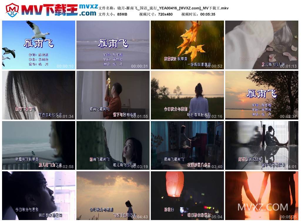 晓月-雁南飞_国语_流行_YEA00416